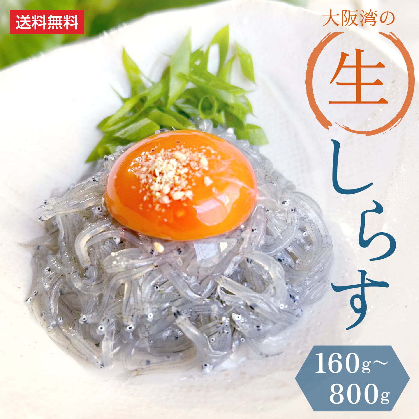 01_メイン画像_冷凍 生しらす160g~800g.jpg
