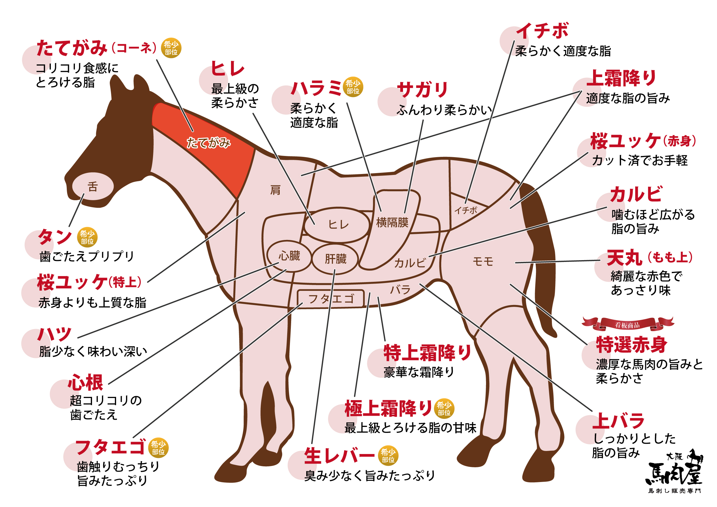 A1_馬部位図_たてがみ.jpg